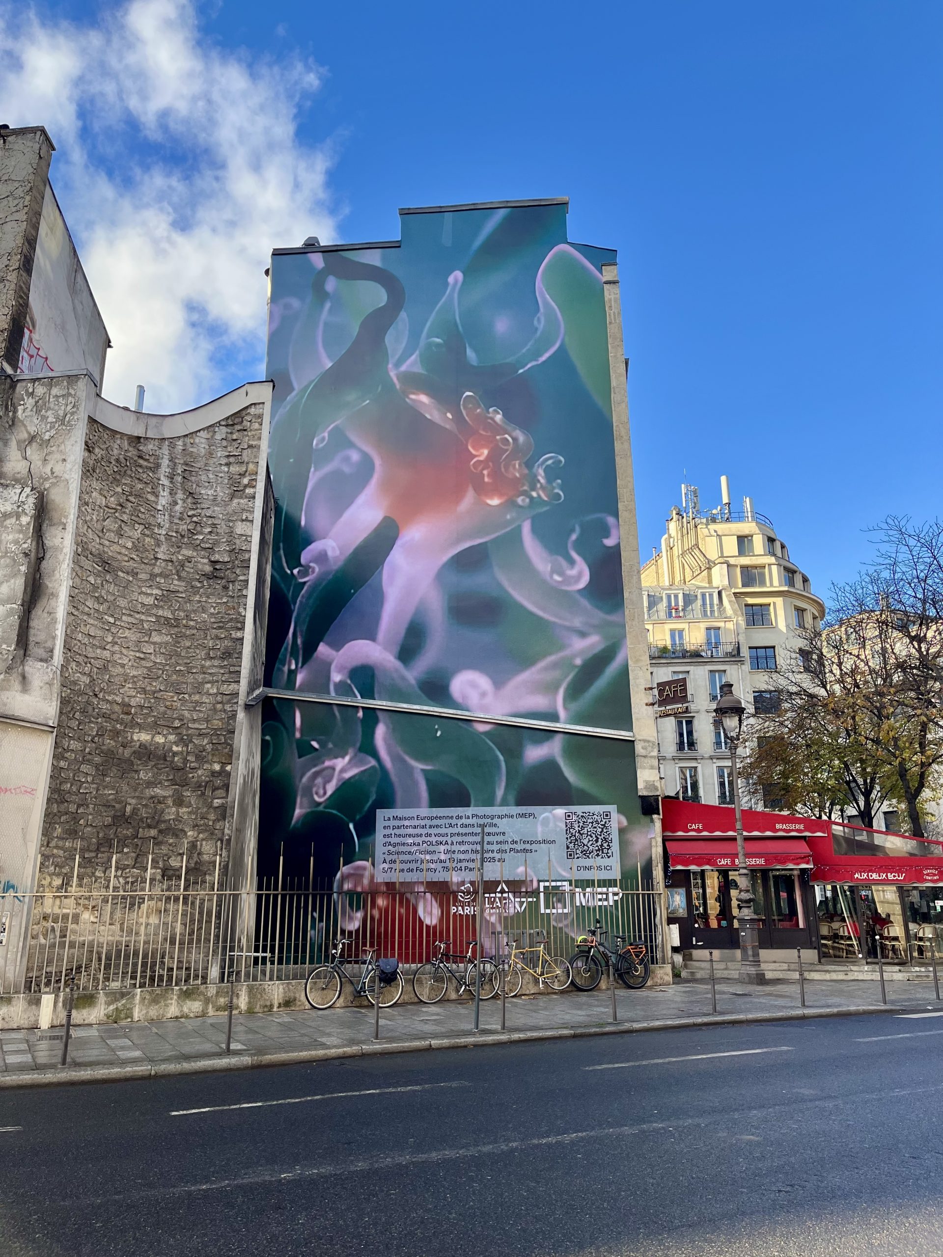 l'art dans la ville mep agnieszka polska